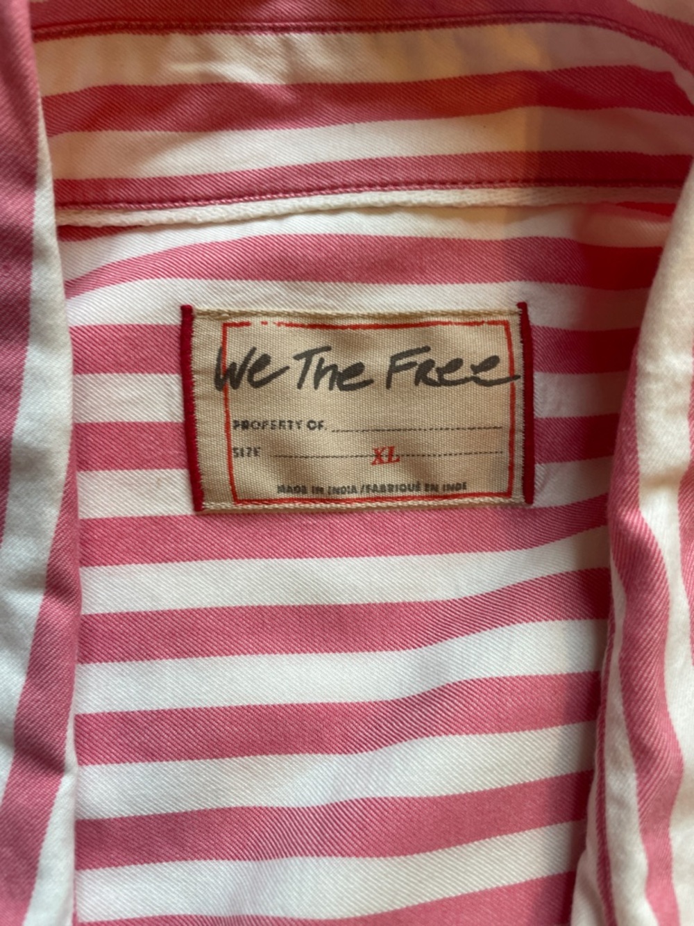 NWT We The Free Pink and White Striped oversized button down